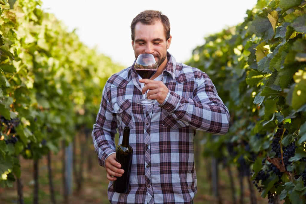 Consumer & Sensory Science in the Wine Industry | Sirocco Consulting