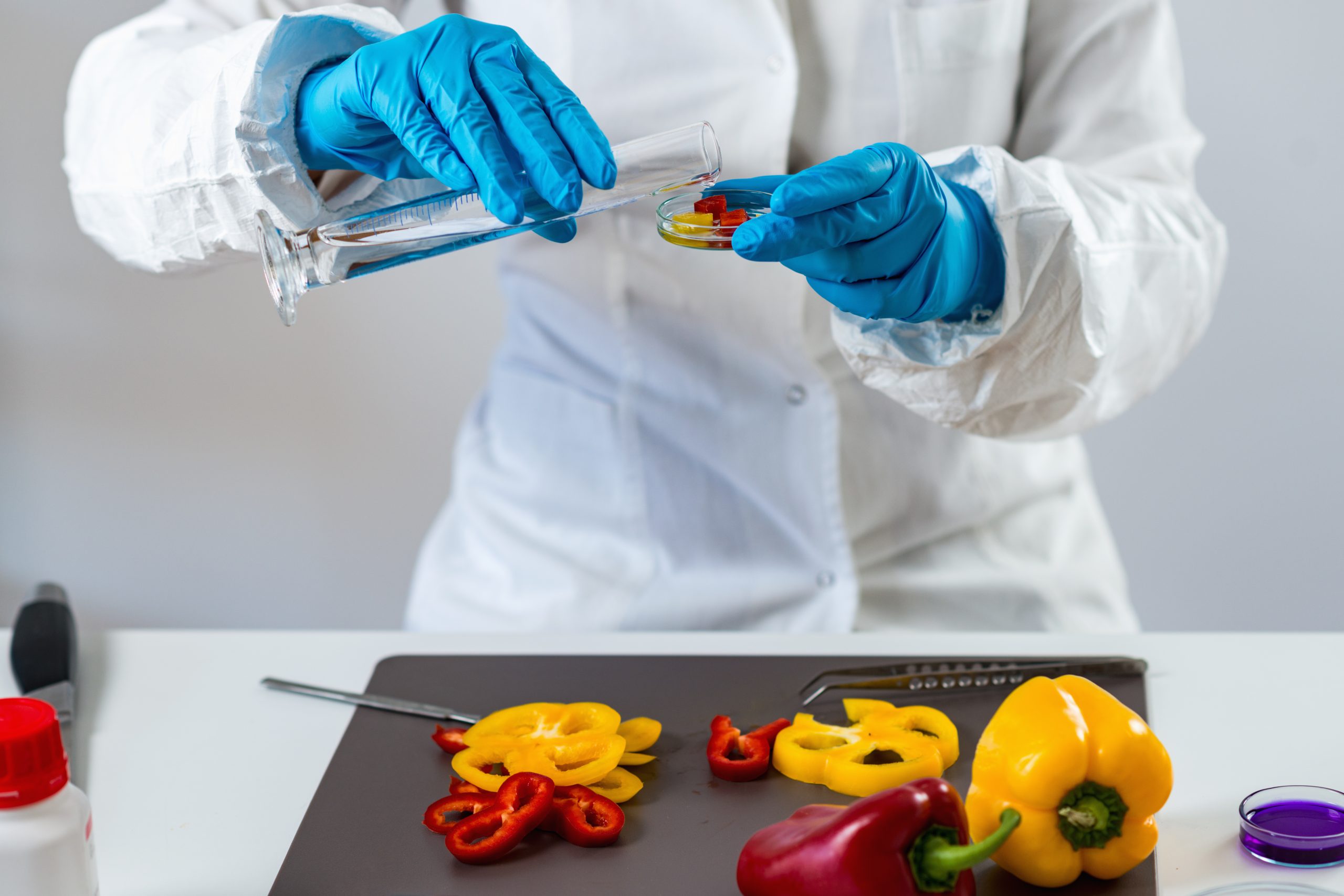 Food Safety Consulting working on FSPCA Version 2 Training