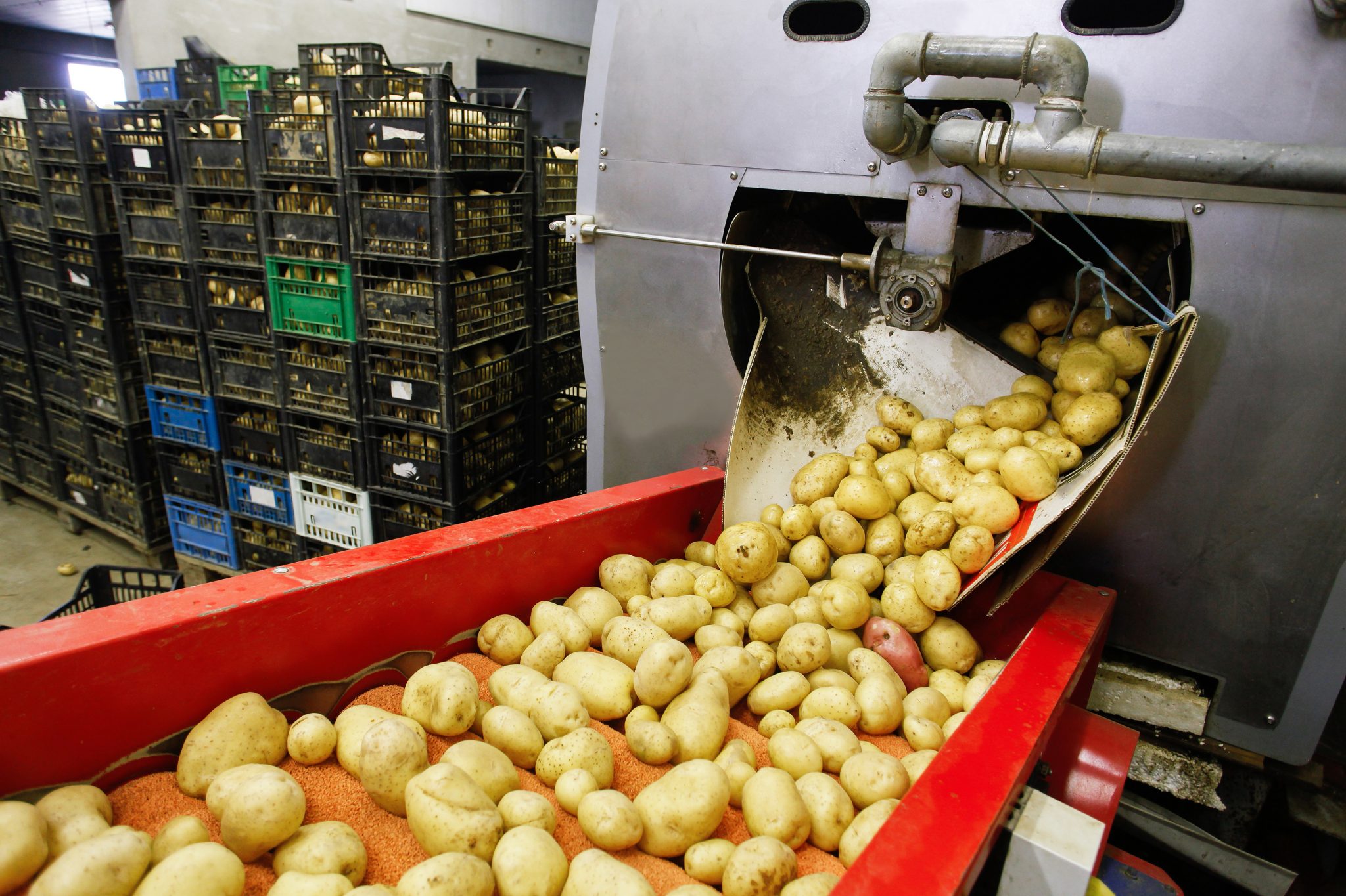 Food Manufacturing - FSMA Certification
